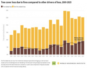 The gradual increase globally of tree loss from fire